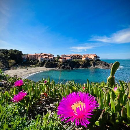 Appartamento Chez Caro Port Vendres Esterno foto