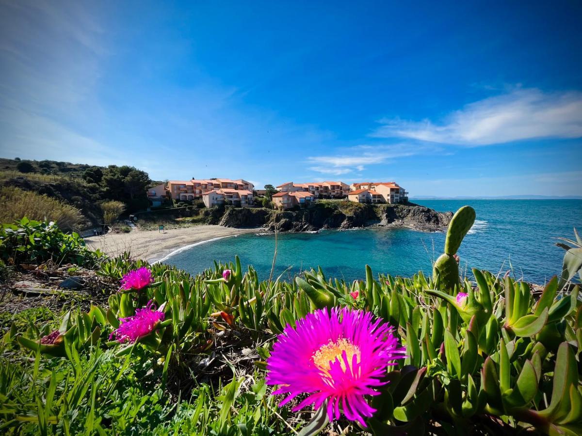Appartamento Chez Caro Port Vendres Esterno foto